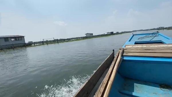 星空·综合体育官网入口 阳澄湖大闸蟹24小时不间断吸氧仍“蜕得慢” 将缺席中秋餐桌