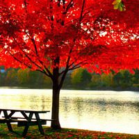 哇力扫地机器人N1拖地压力大不大_智能扫地机器人 车玻璃压_哇力扫地机器人N1加压拖地功能评测