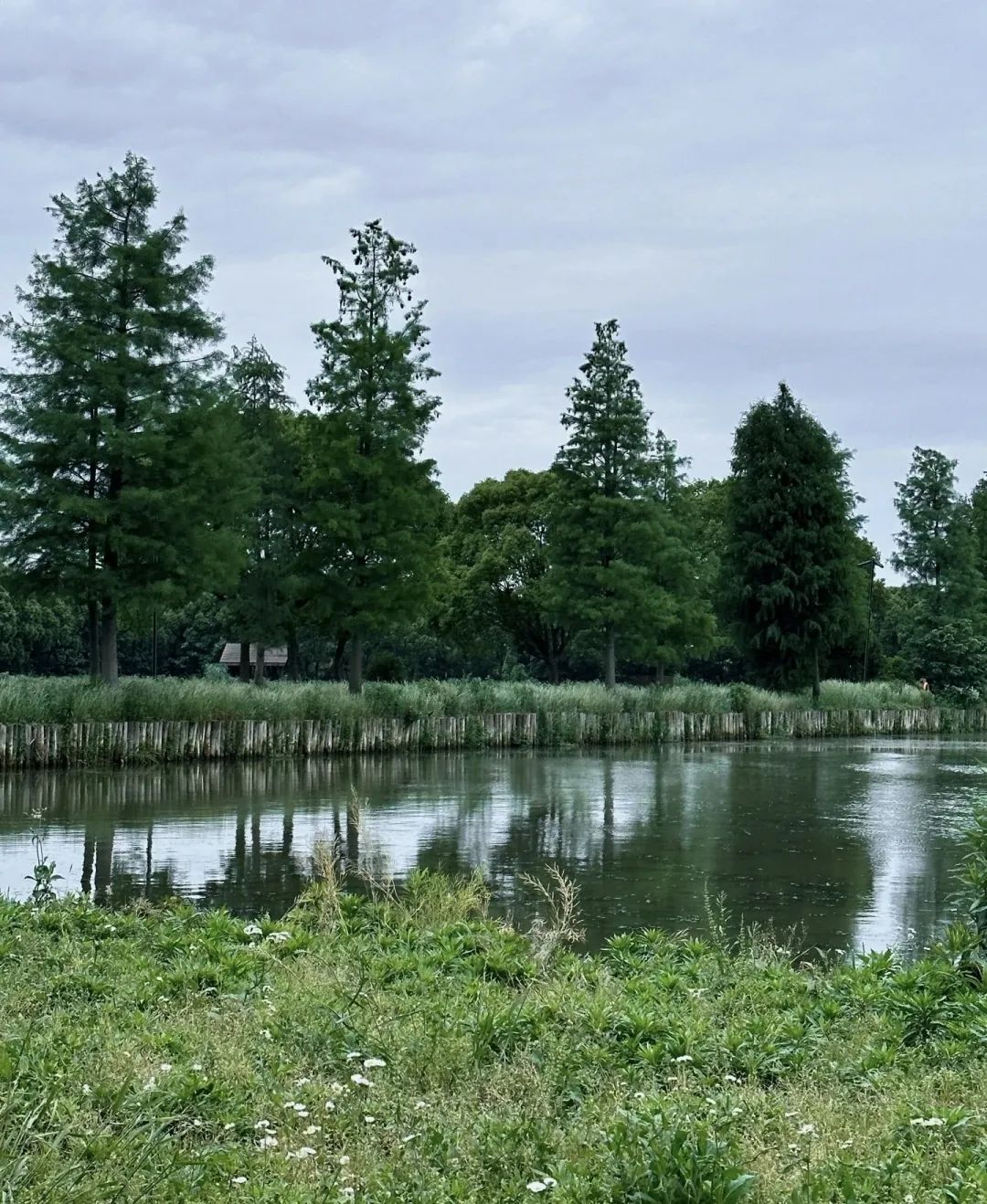 上海公路自行车店_上海松江欢乐骑行线_上海浦东滨江骑行路线