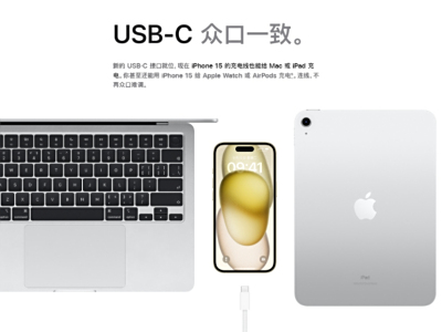 苹果，有着持续11年与Lightning接口相随的历程，其中既有极为辉煌的4年光阴，又有相对平淡的4年阶段，还有遭受诸多诟病的3年时期。