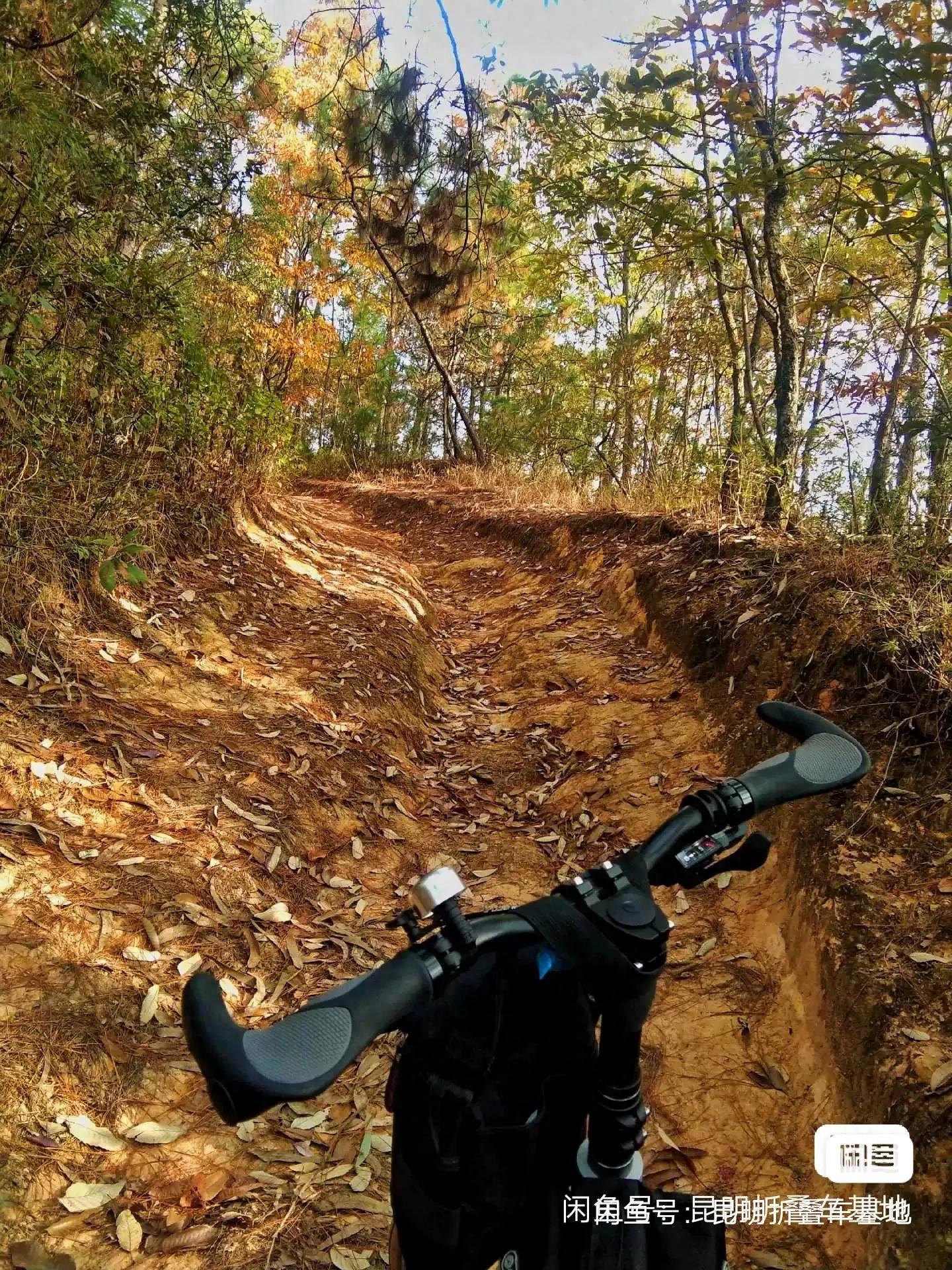 星空综合体育app下载 骑折叠车一年，后悔了