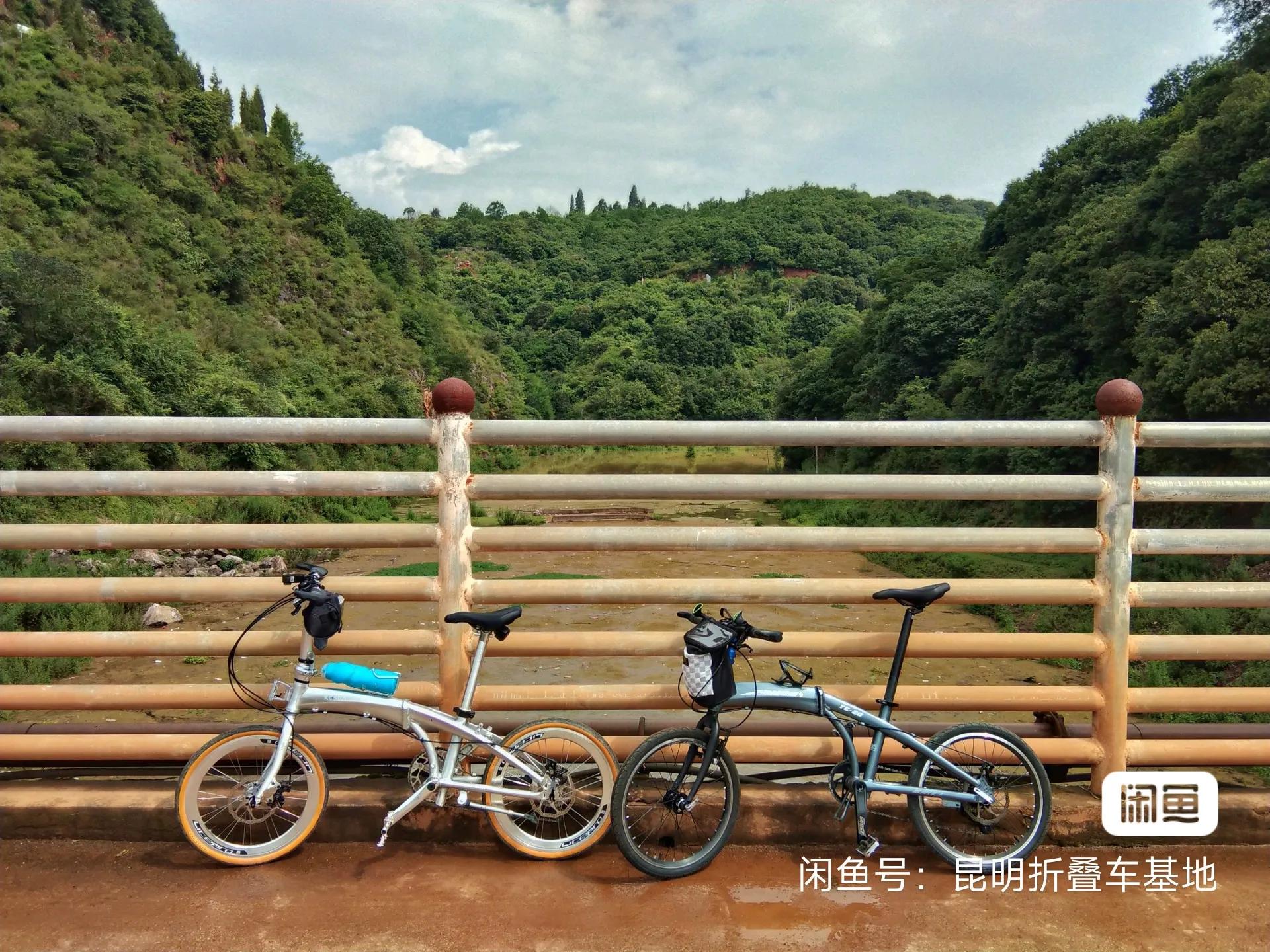 国产配件折叠车_26寸折叠自行车缺点_珠光漆海豚折叠车